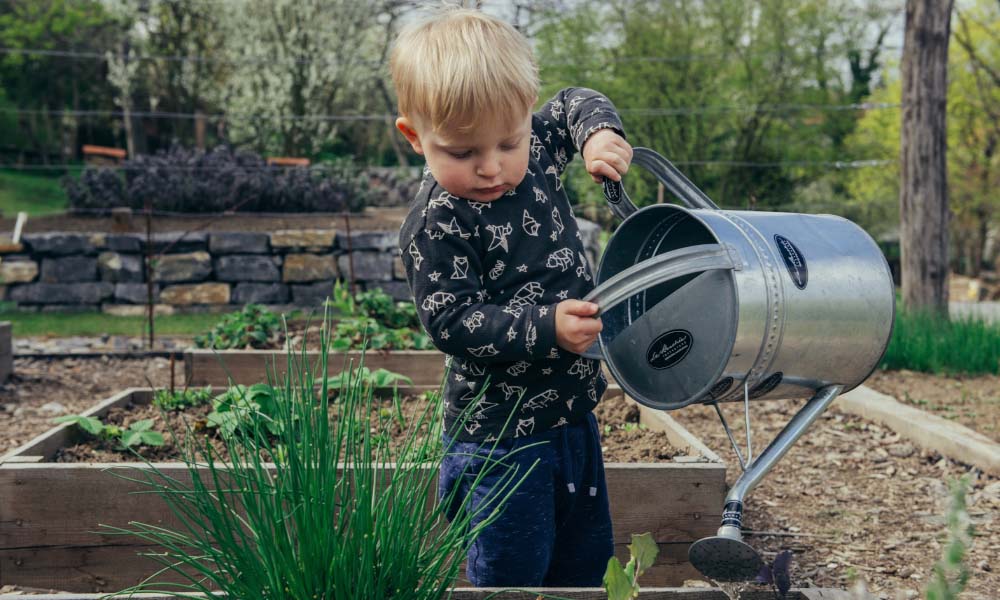little boy watering plants in a garden