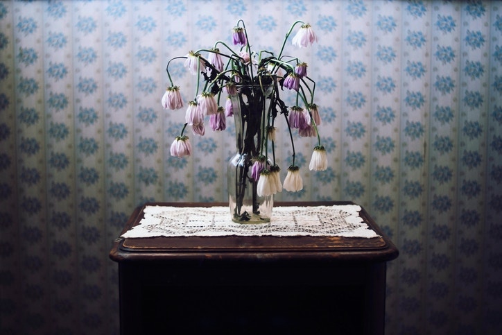 faded flowers in a vase on the table