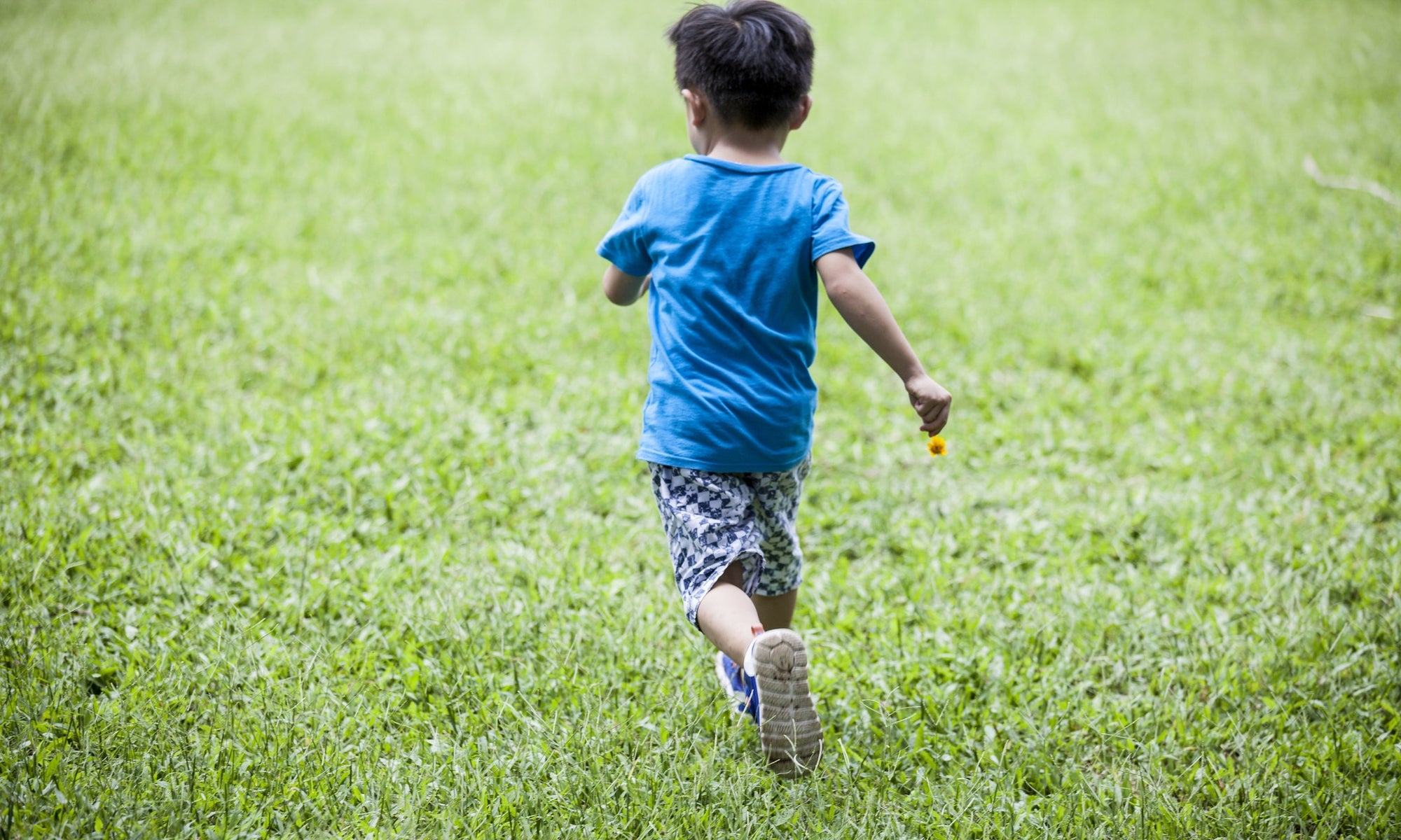 boy running in garden holding a flower