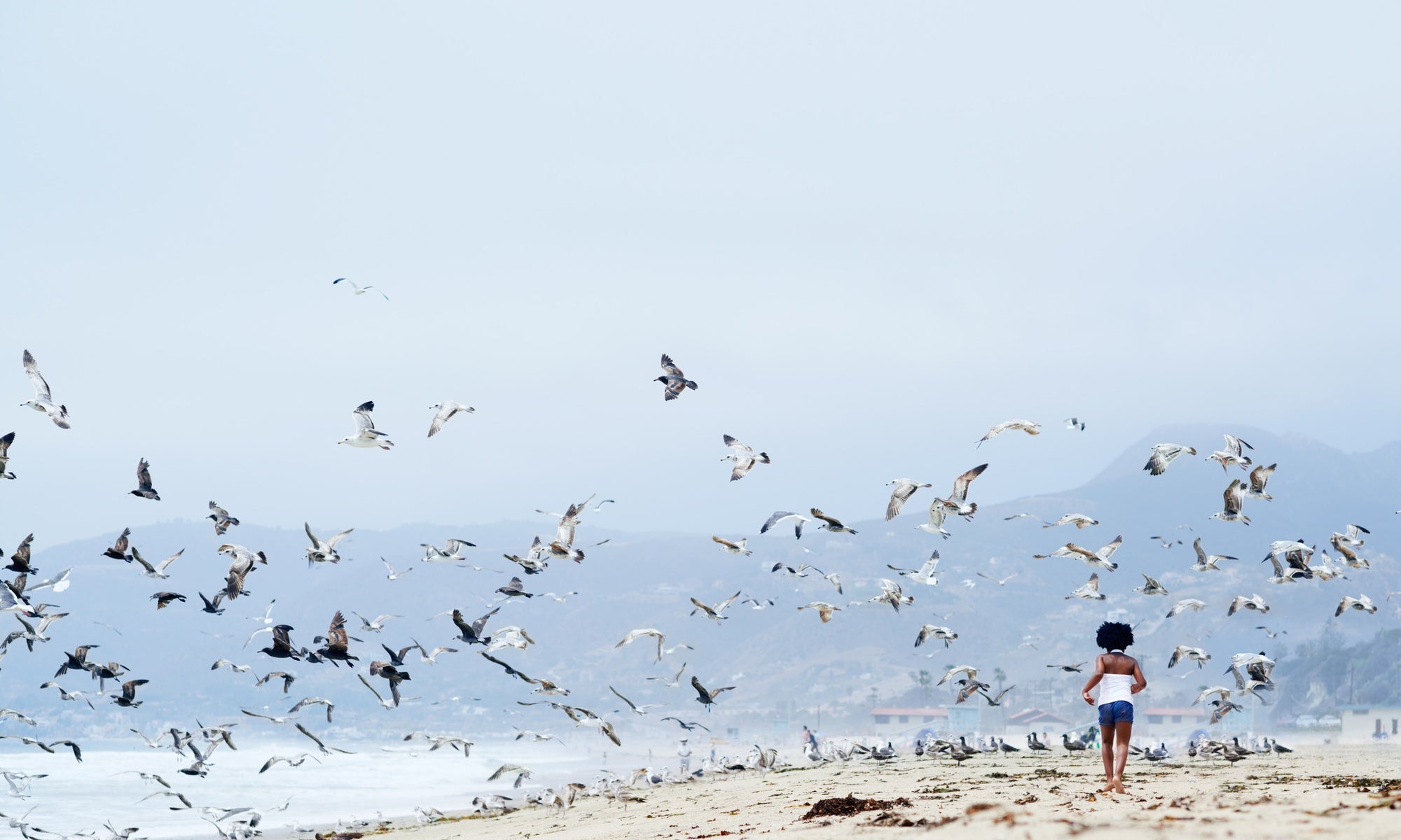 Girl running on beach with birds flying