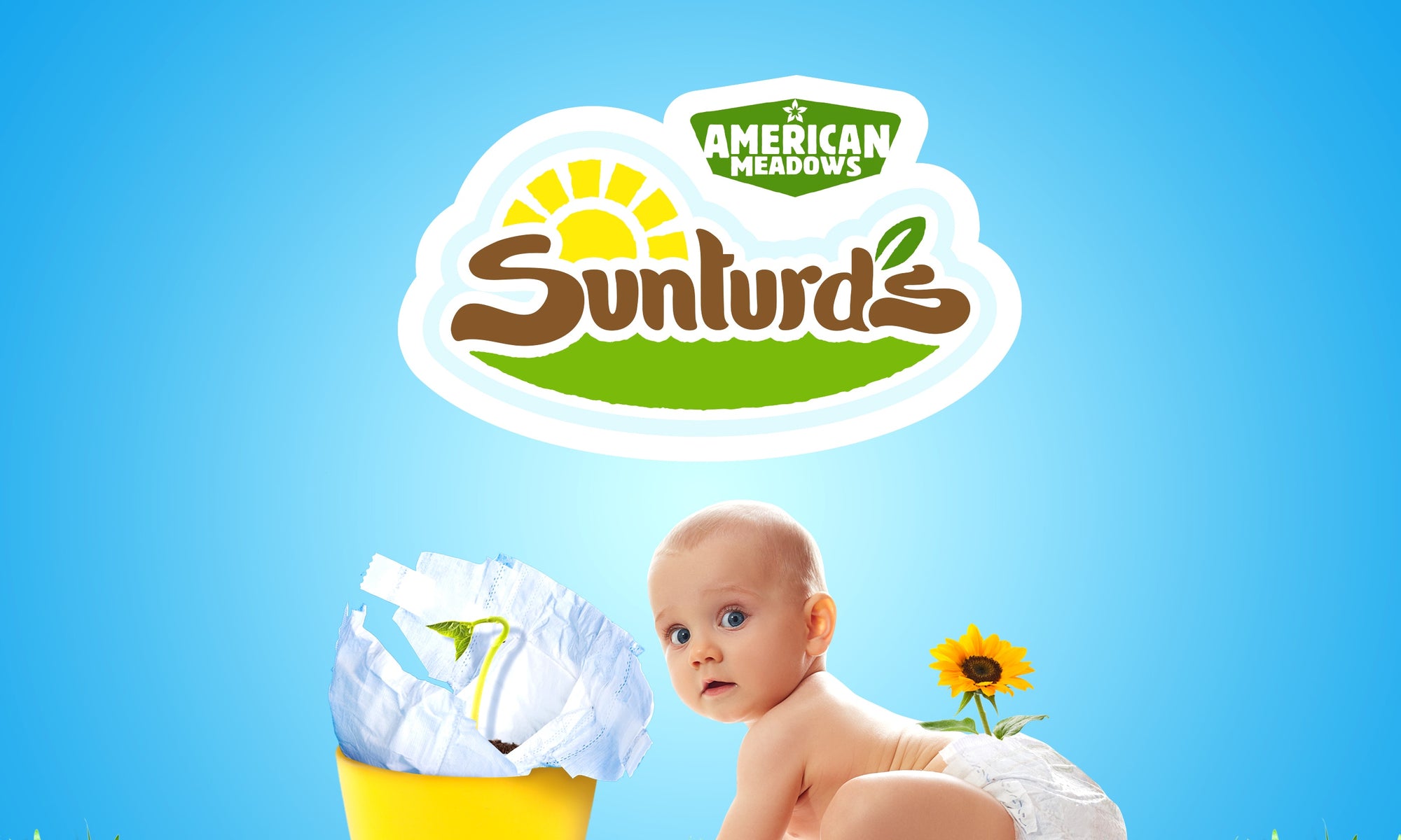 Sunturds american meadow baby on a grass