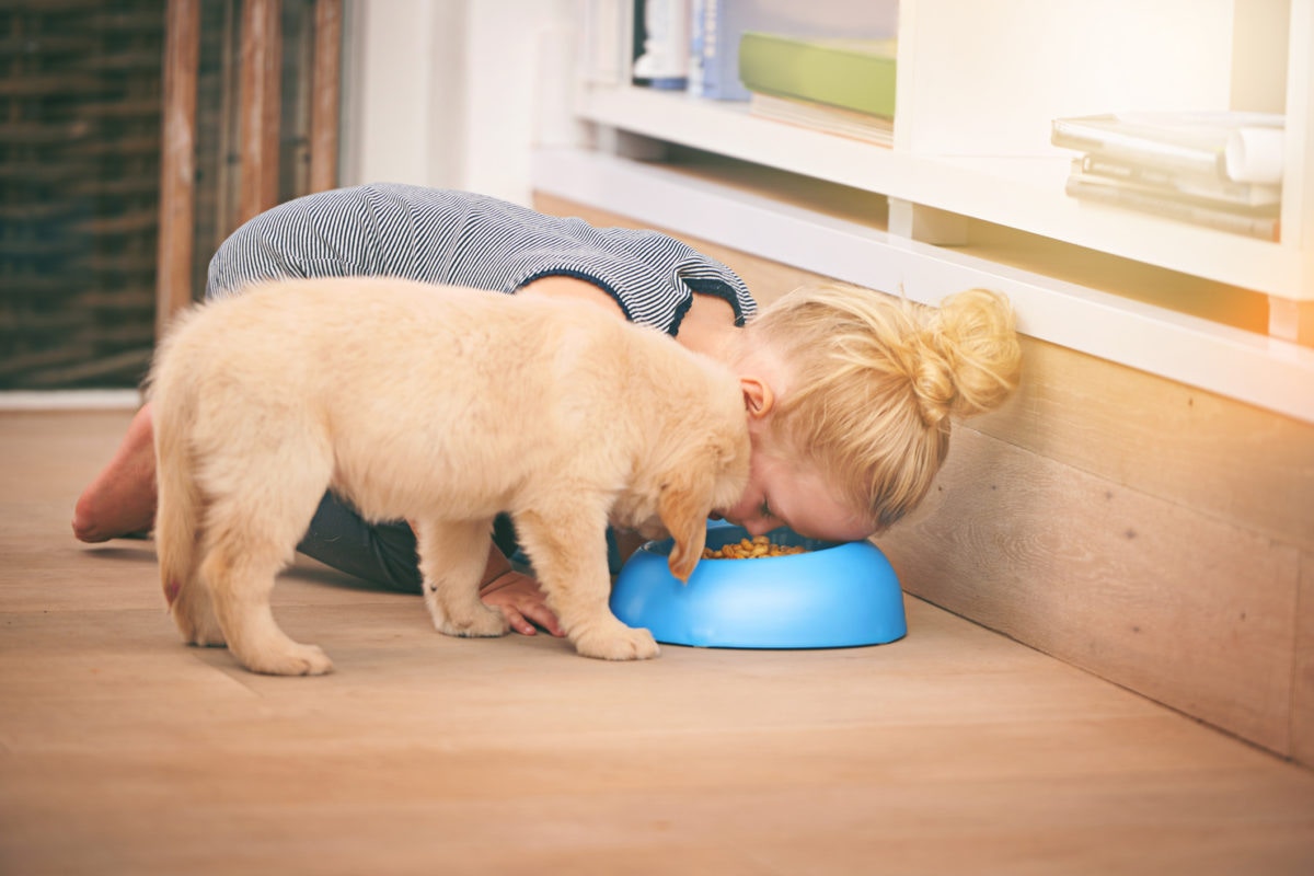 A Kid is eating pedigree along with puppy