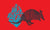 armadillos on red background vector illustration