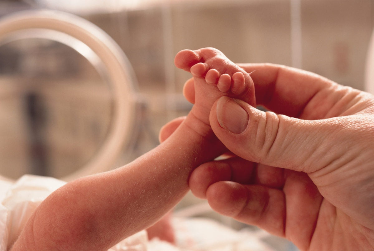 close up of hand holing a baby foot