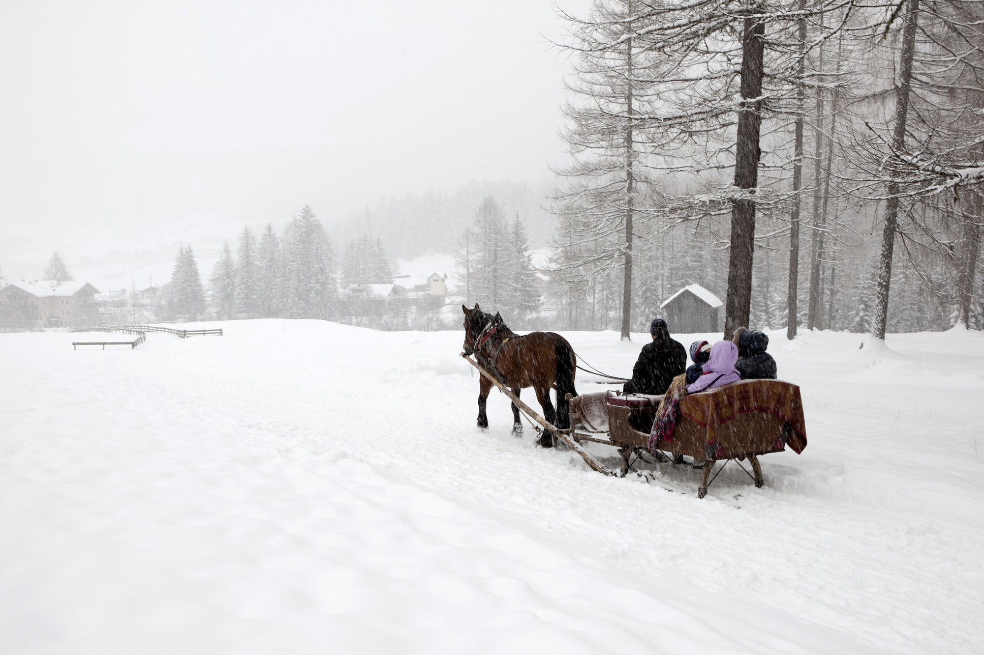 sleigh ride with snow coming down