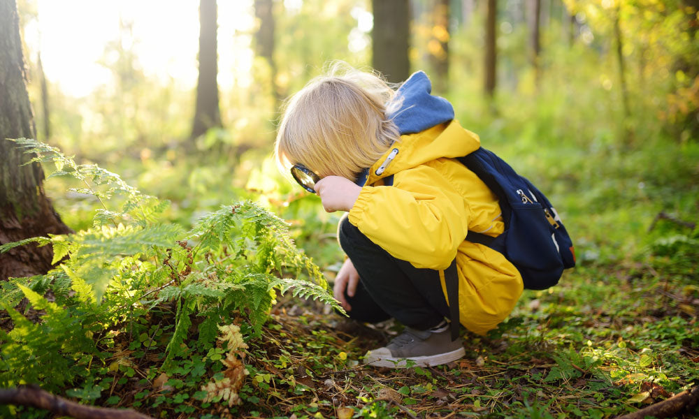 boy hiding behind tree